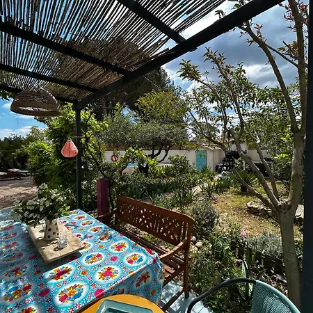 Mas De Charme A La Campagne Au Calme Piscine, Jardin ,Climatise Parking ,10Mn Beziers * ベジエ